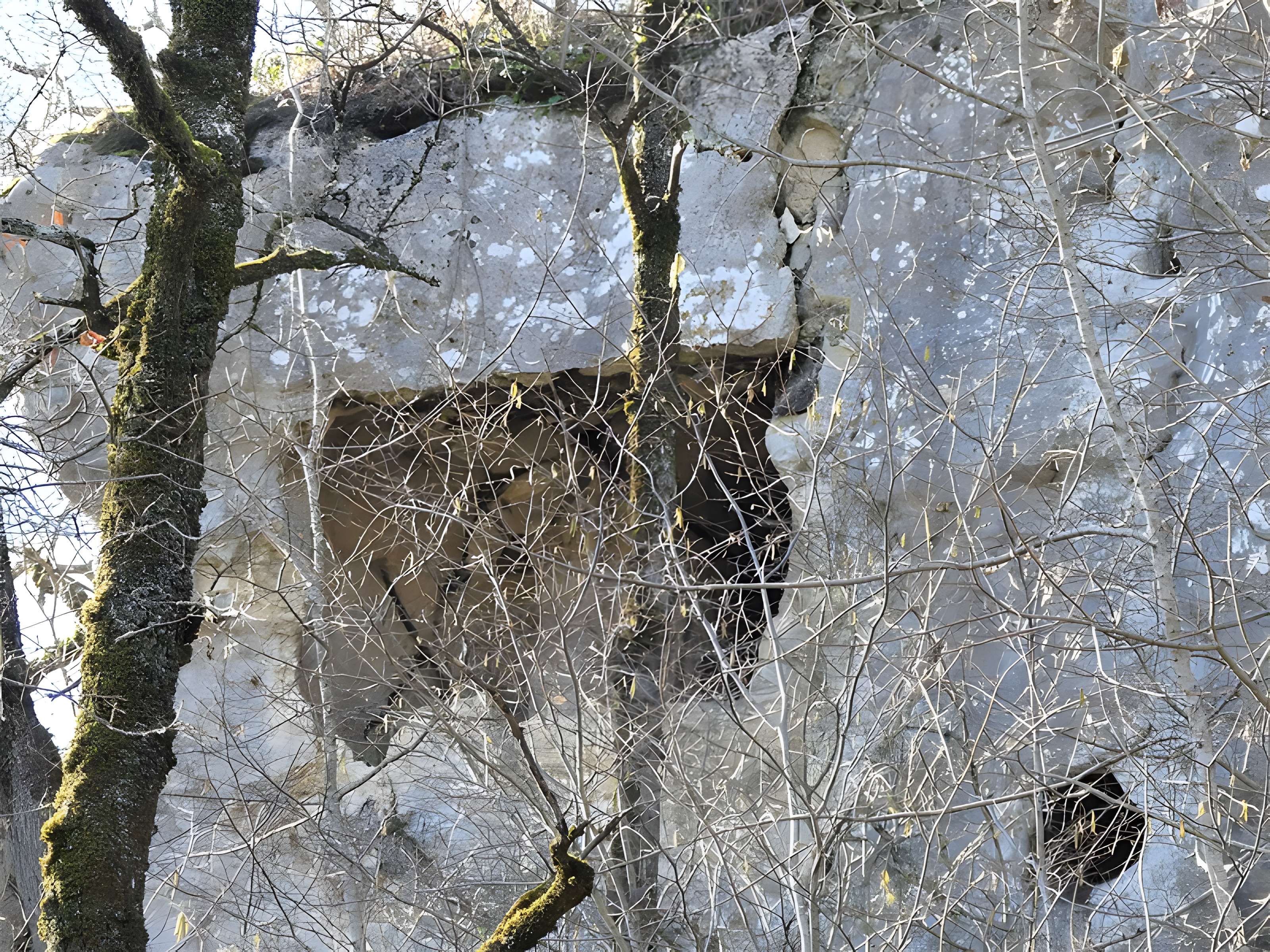 Cluzeau de Chambrebrune