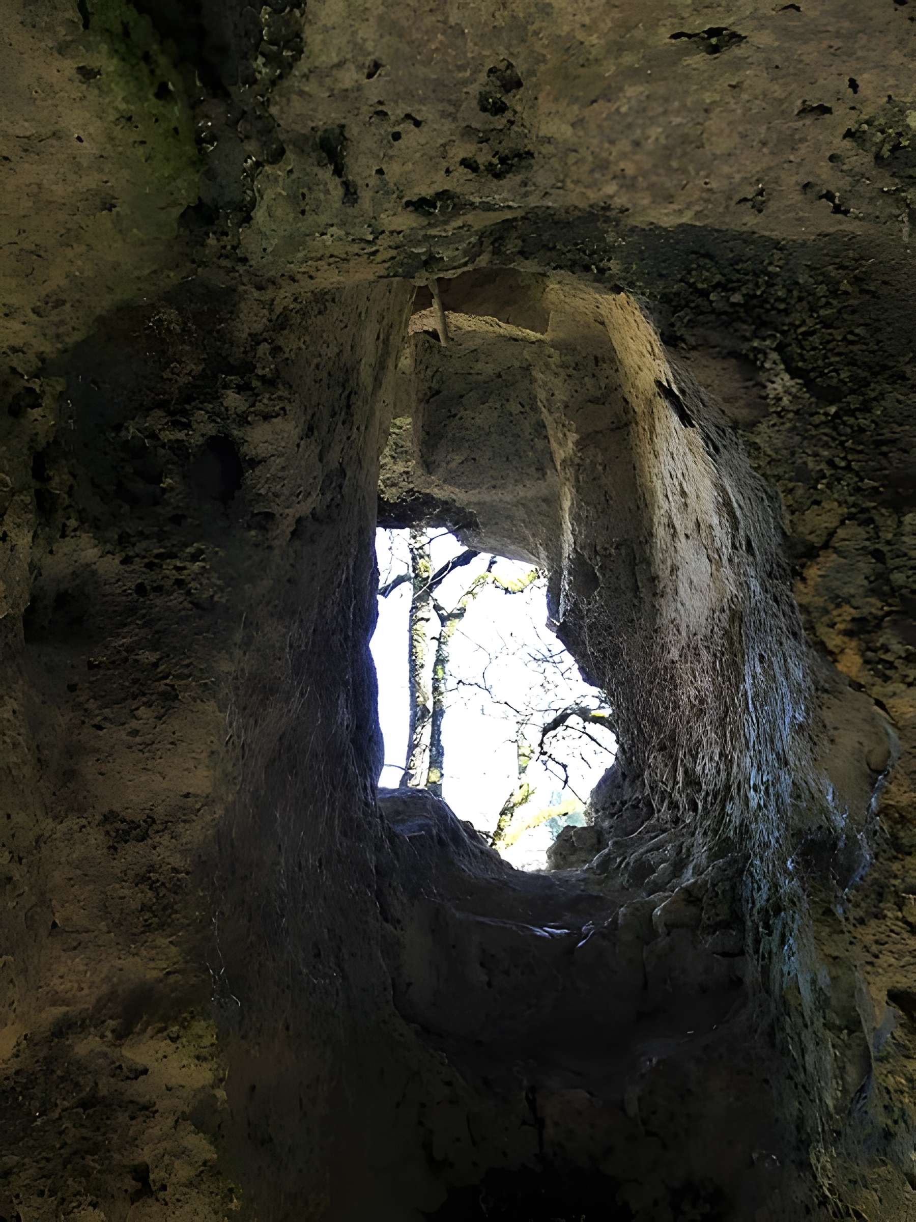 Cluzeau de Chambrebrune