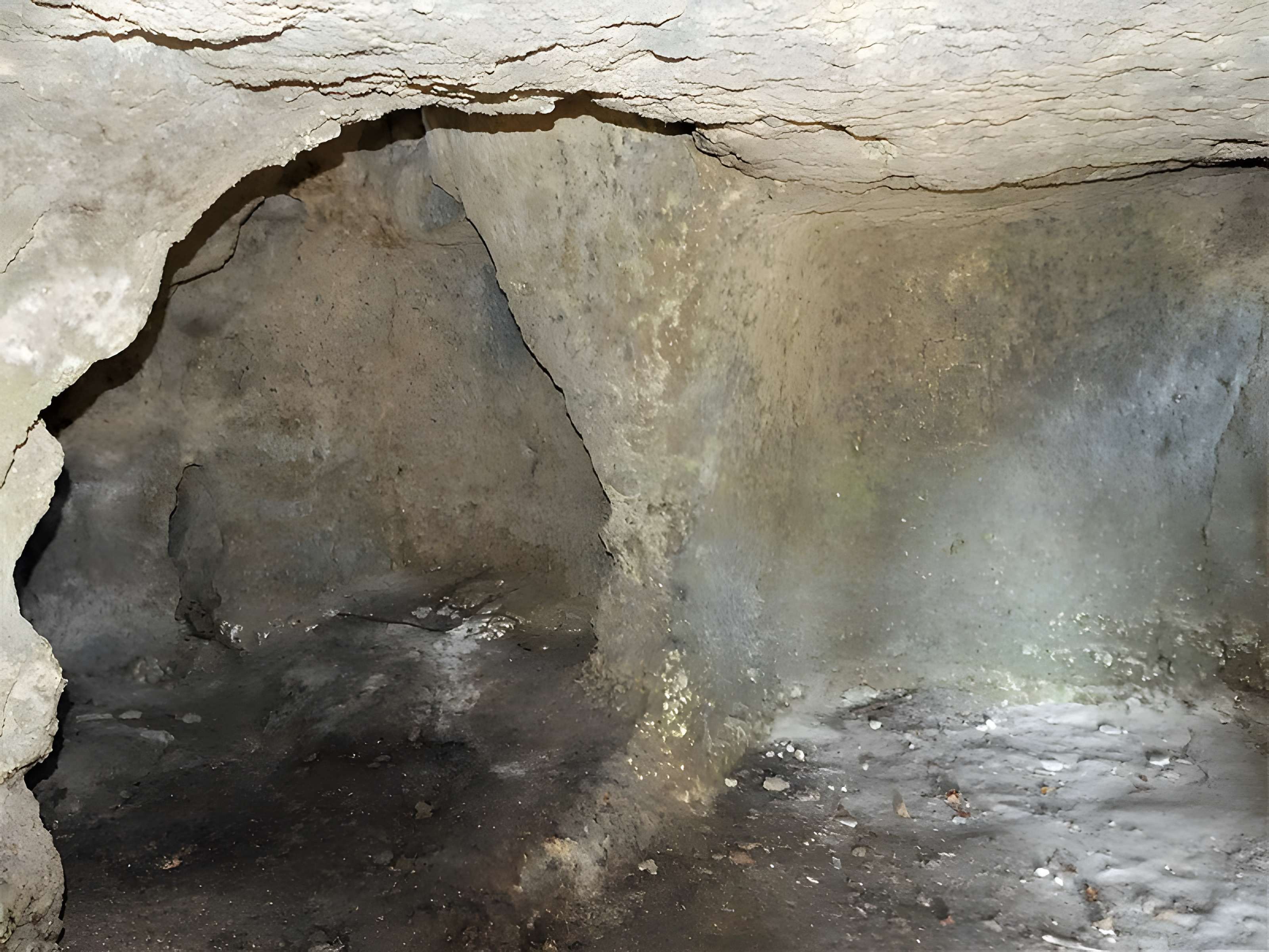 Cluzeau de Chambrebrune