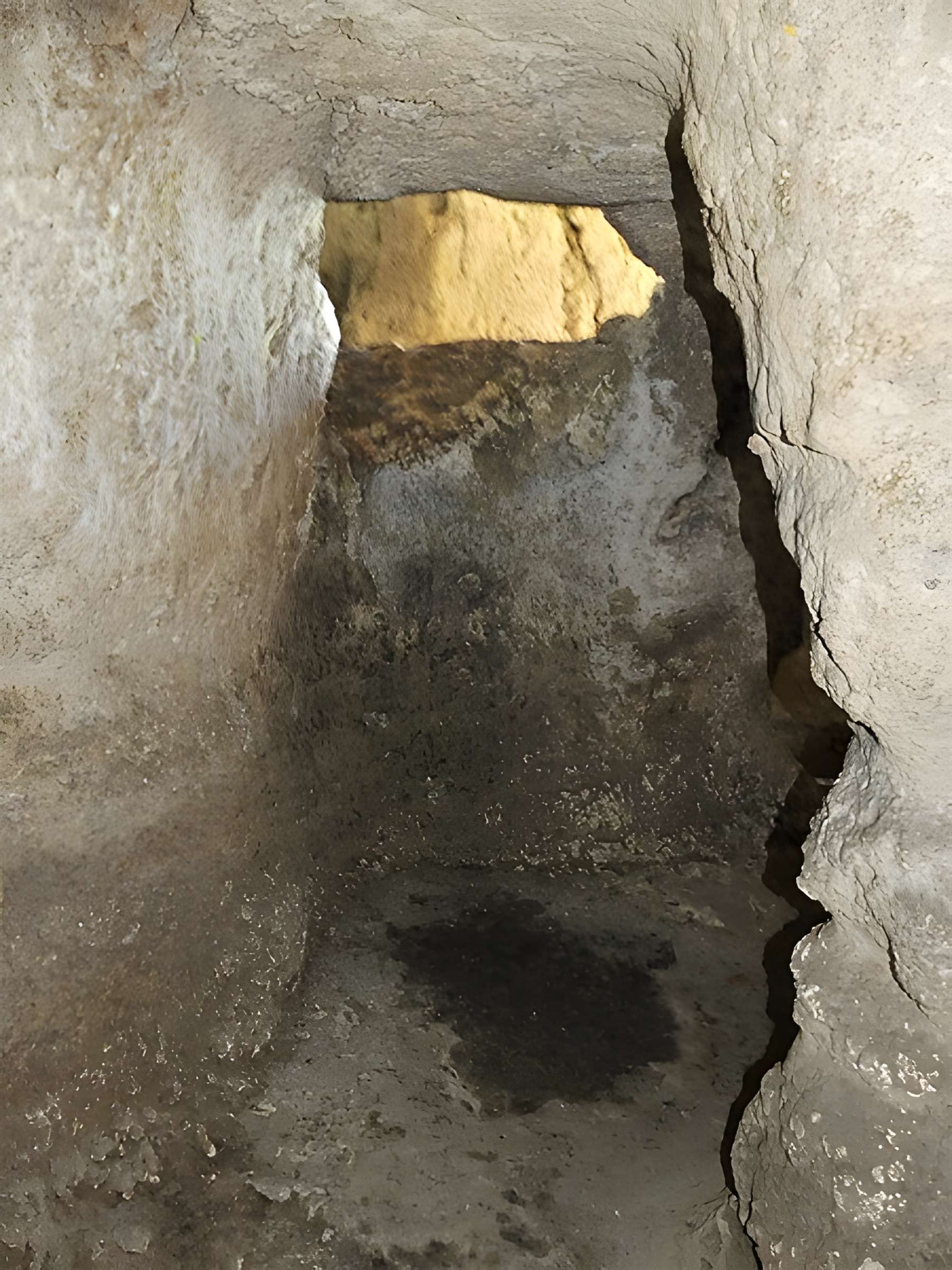 Cluzeau de Chambrebrune