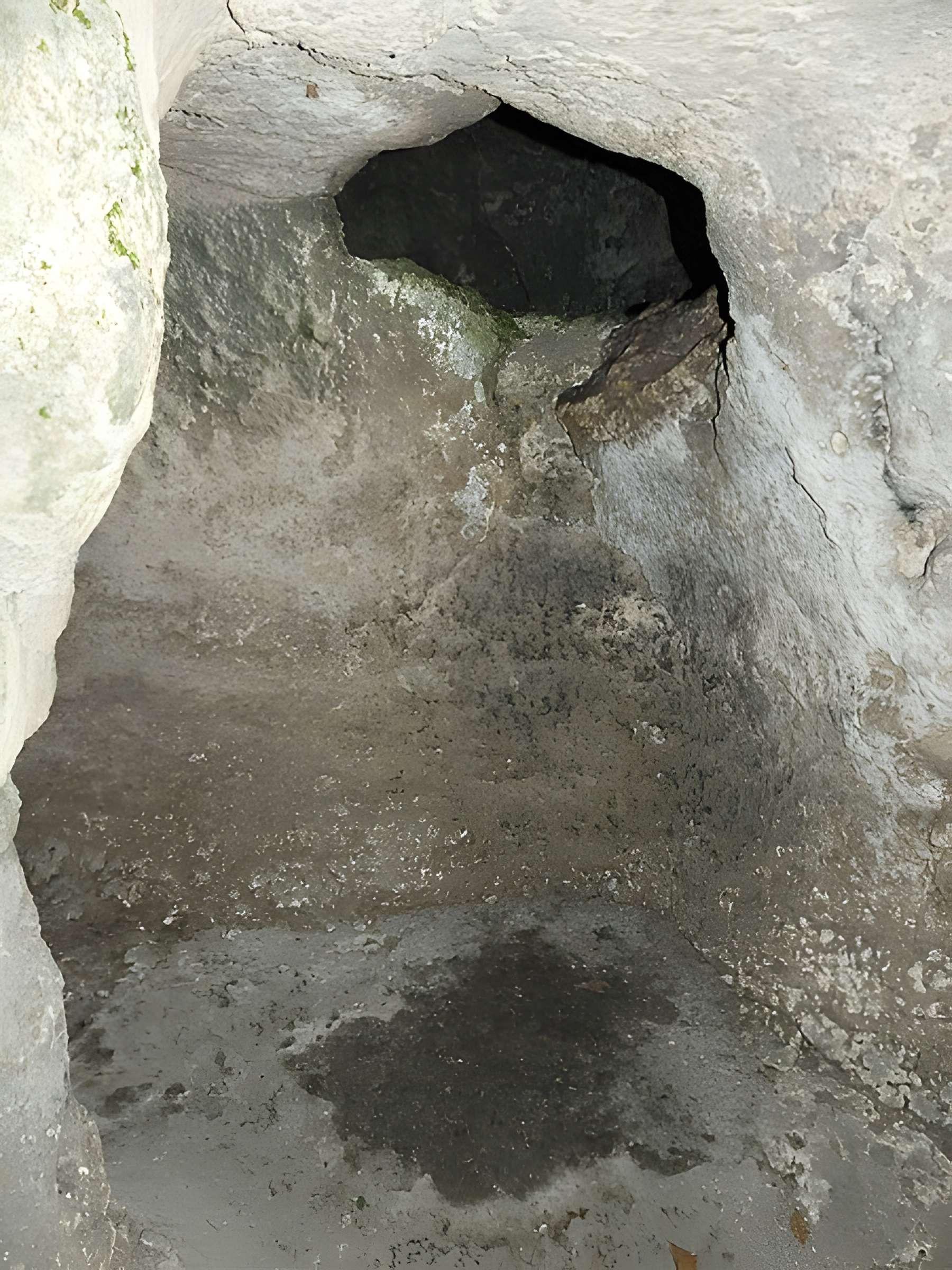 Cluzeau de Chambrebrune