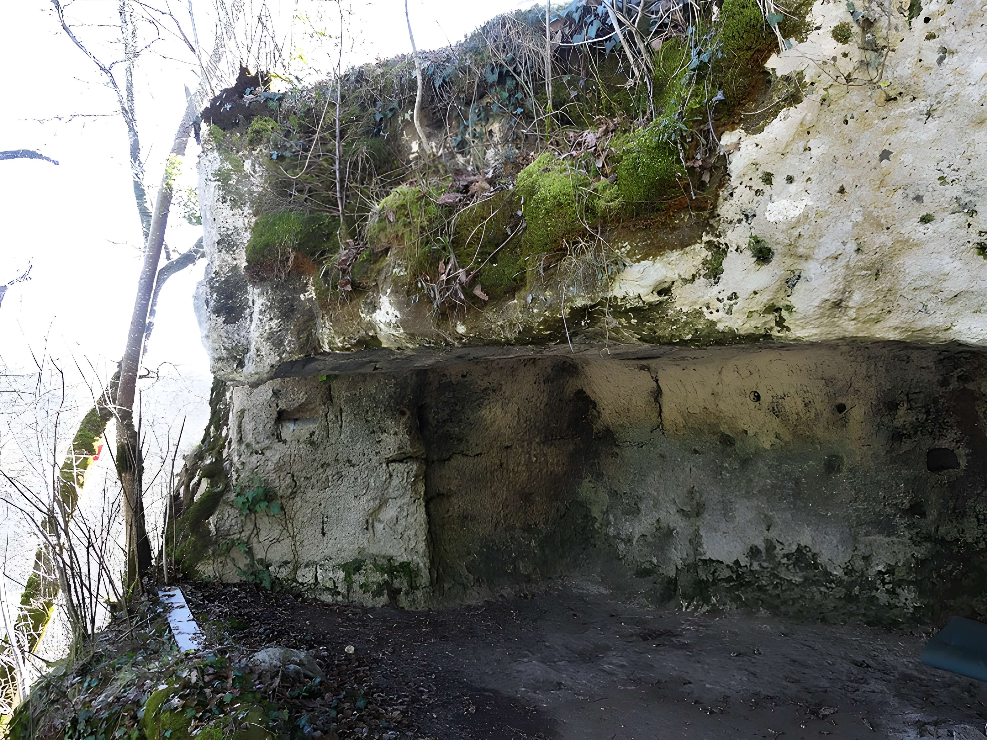 Cluzeau de Chambrebrune