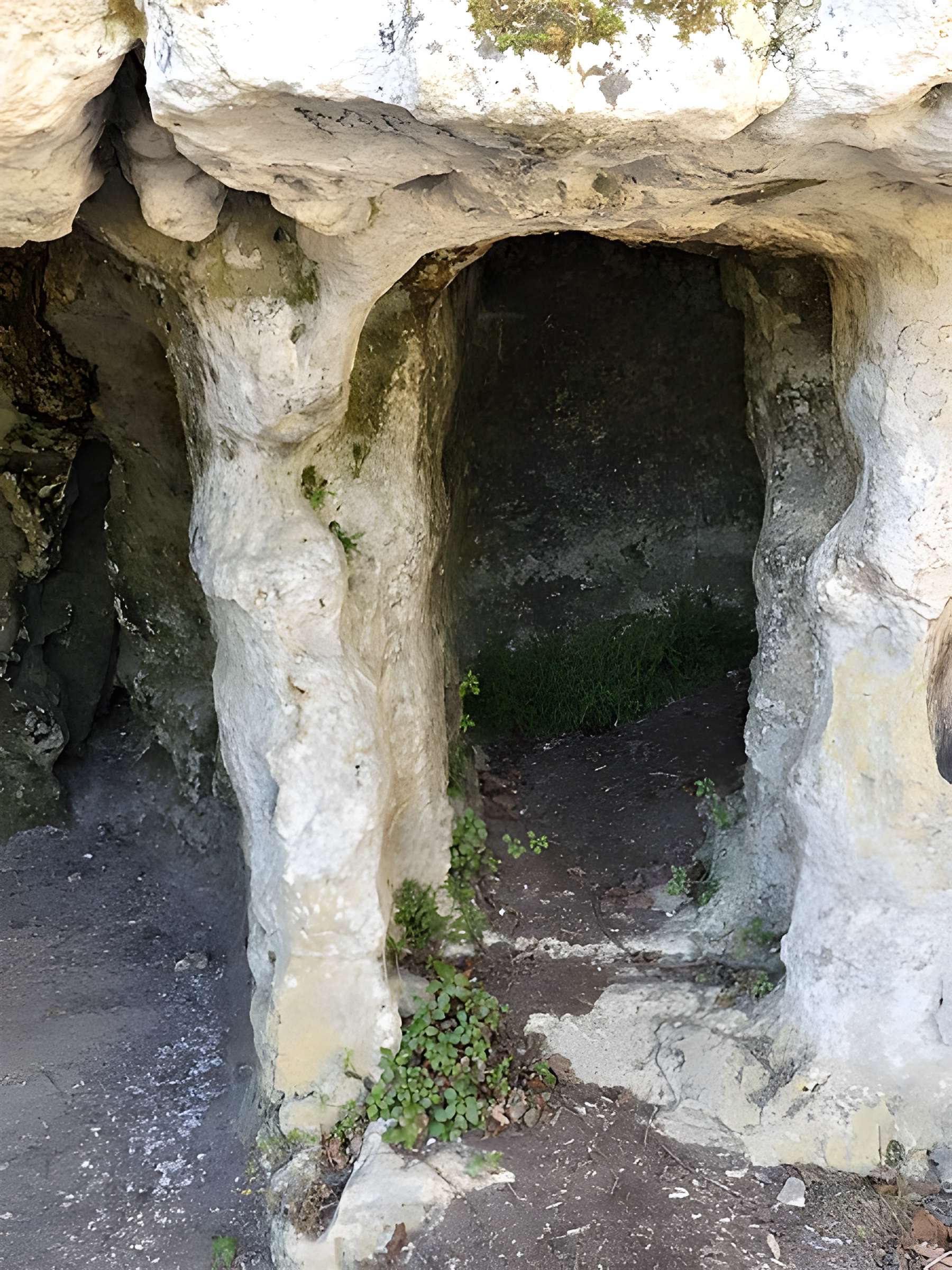 Cluzeau de Chambrebrune