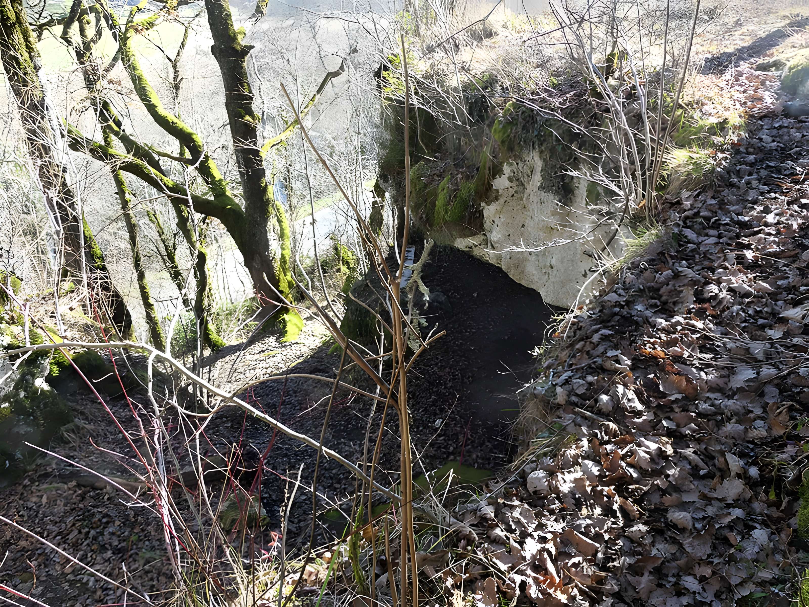 Cluzeau de Chambrebrune