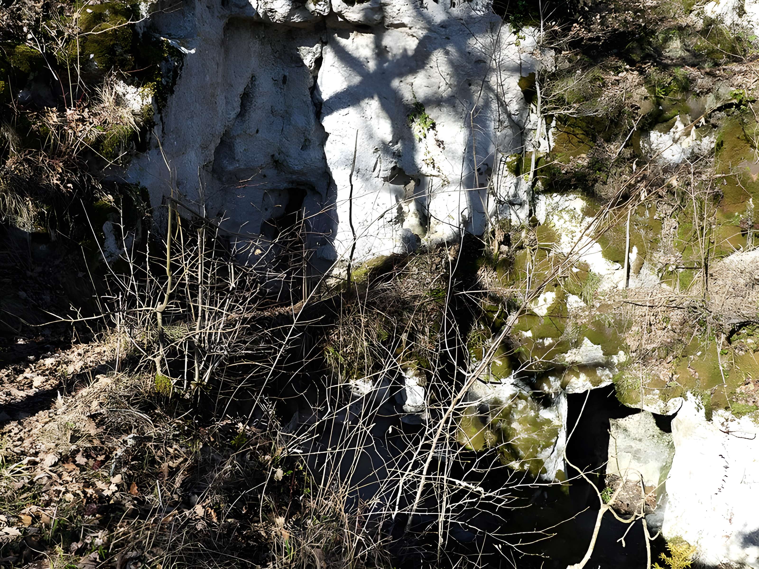 Cluzeau de Chambrebrune