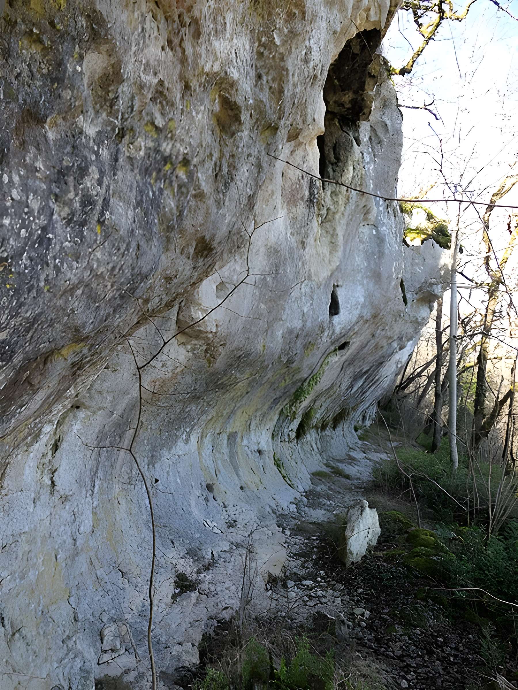 Cluzeau de Chambrebrune