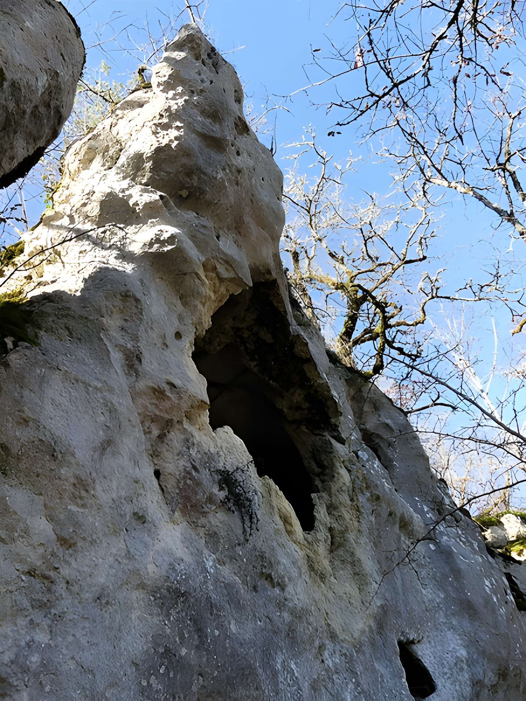 Cluzeau de Chambrebrune