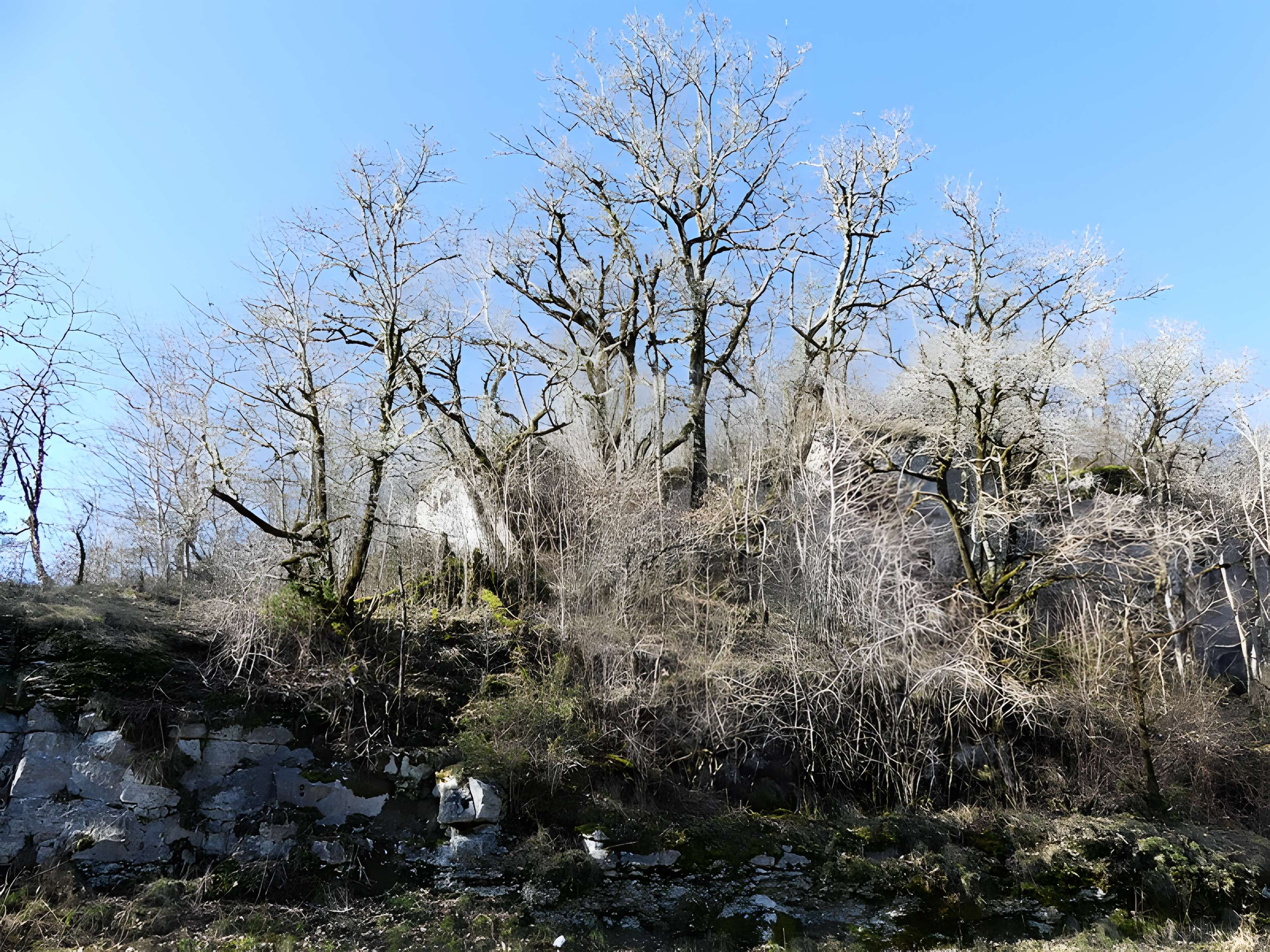 Cluzeau de Chambrebrune