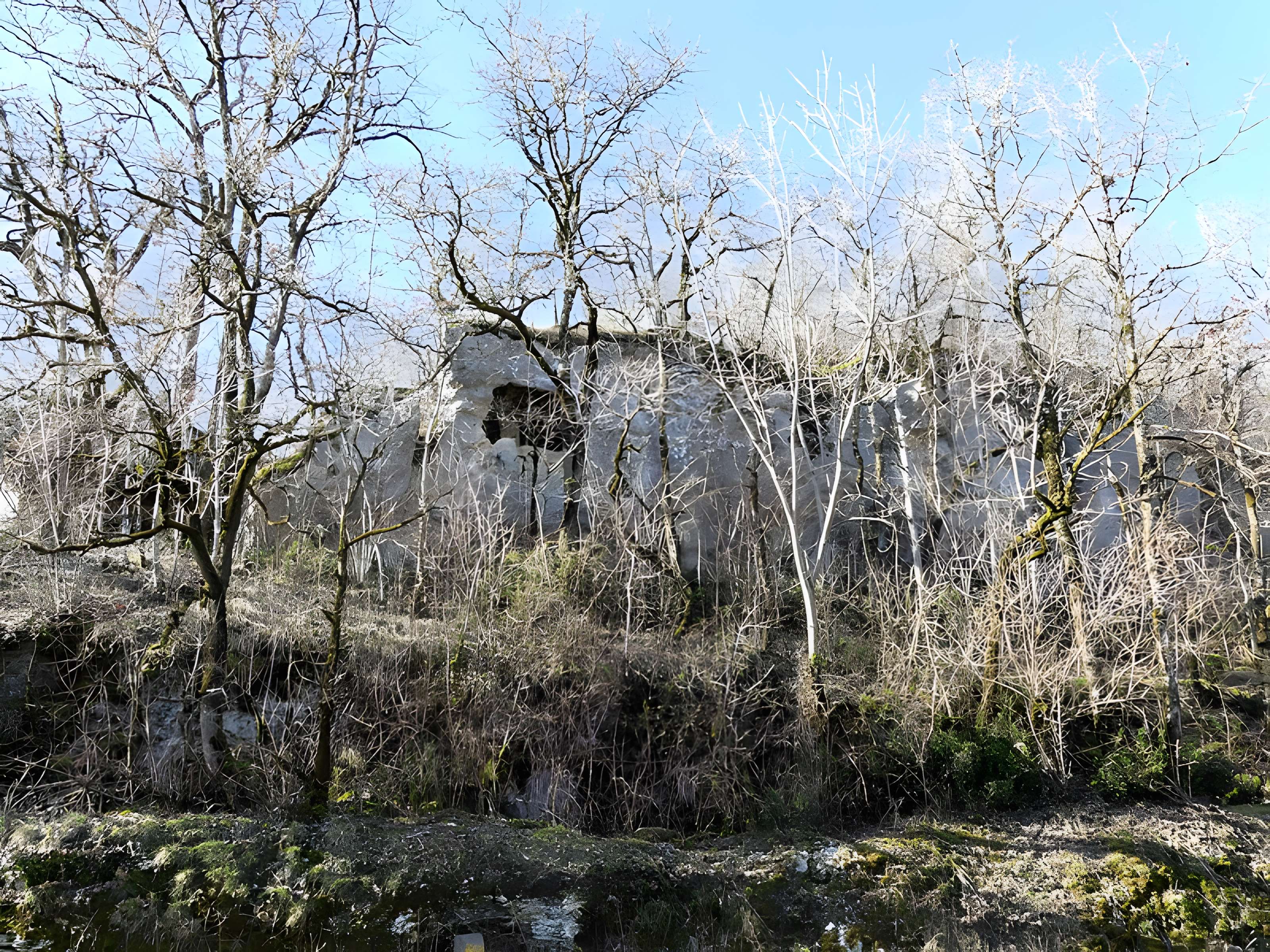 Cluzeau de Chambrebrune