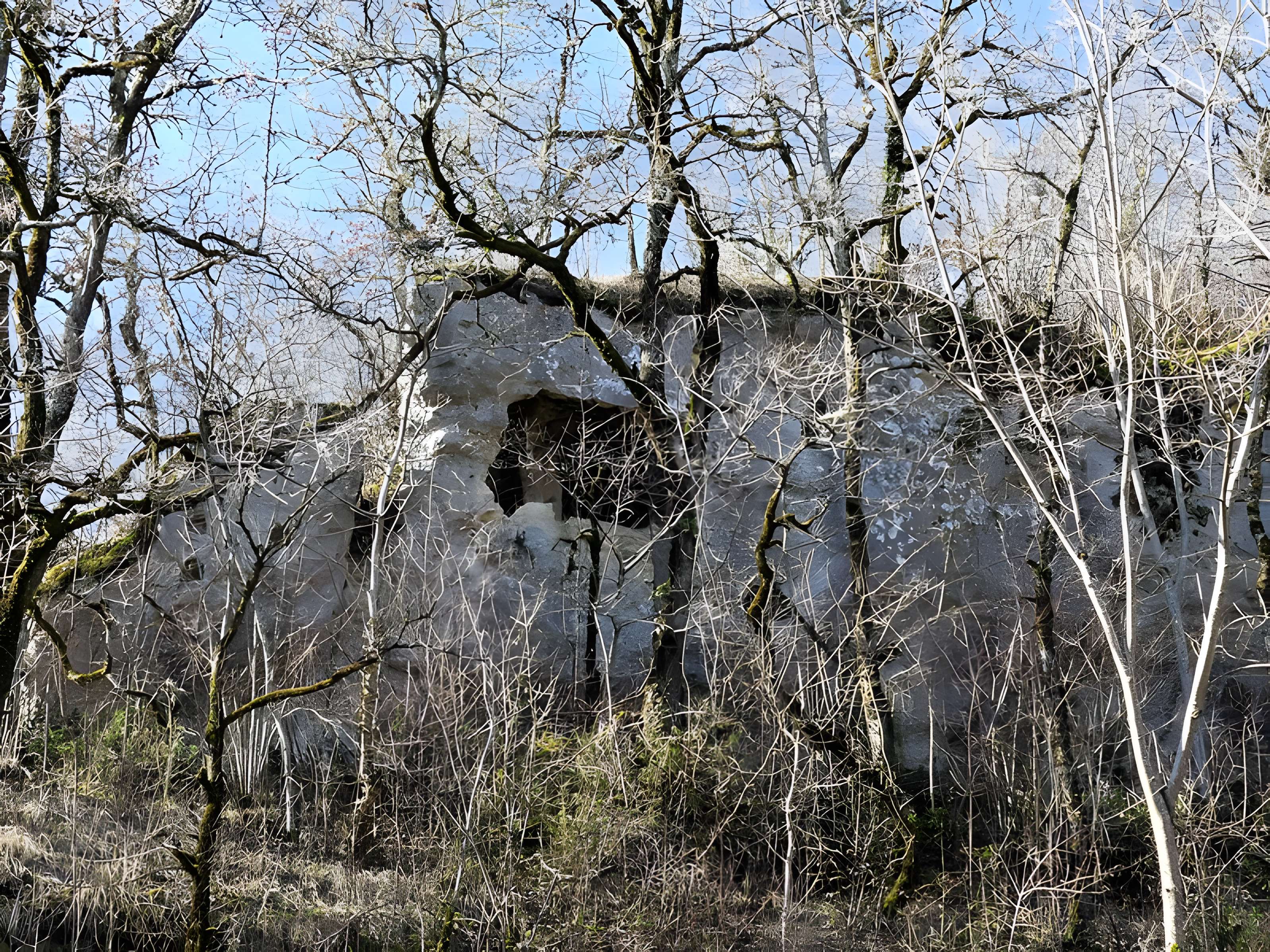 Cluzeau de Chambrebrune