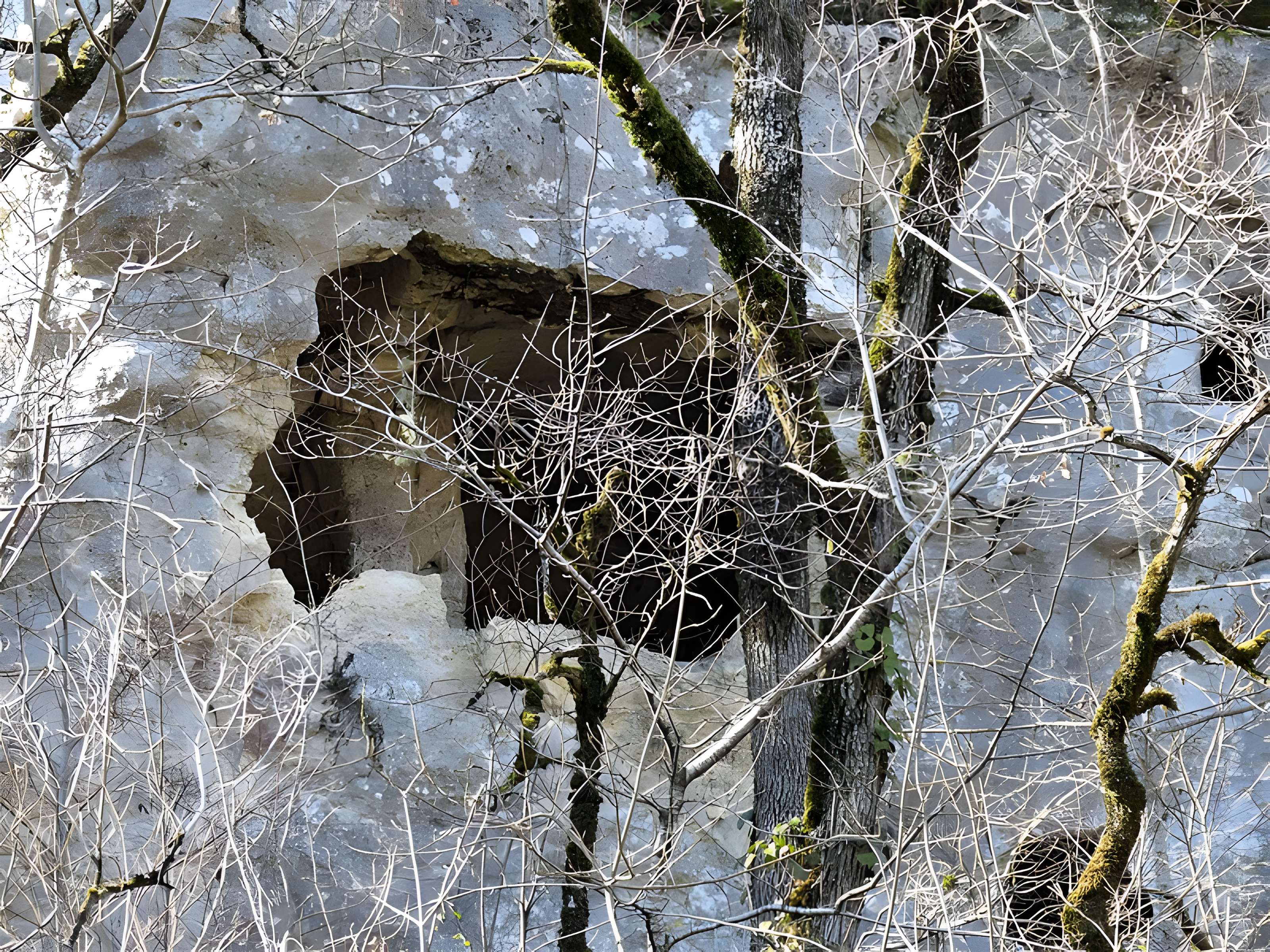 Cluzeau de Chambrebrune