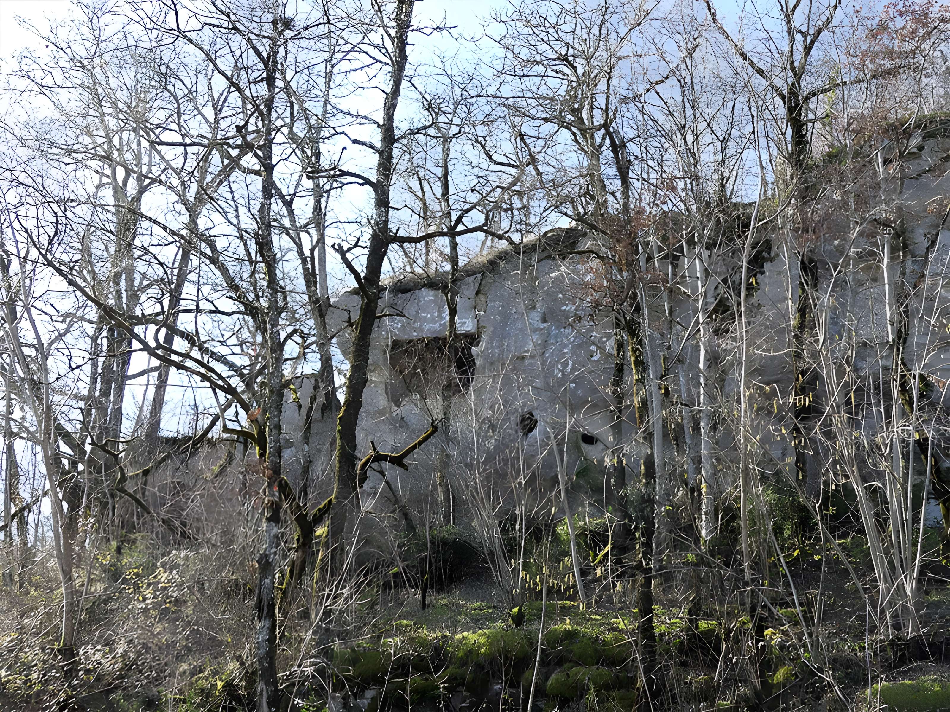 Cluzeau de Chambrebrune