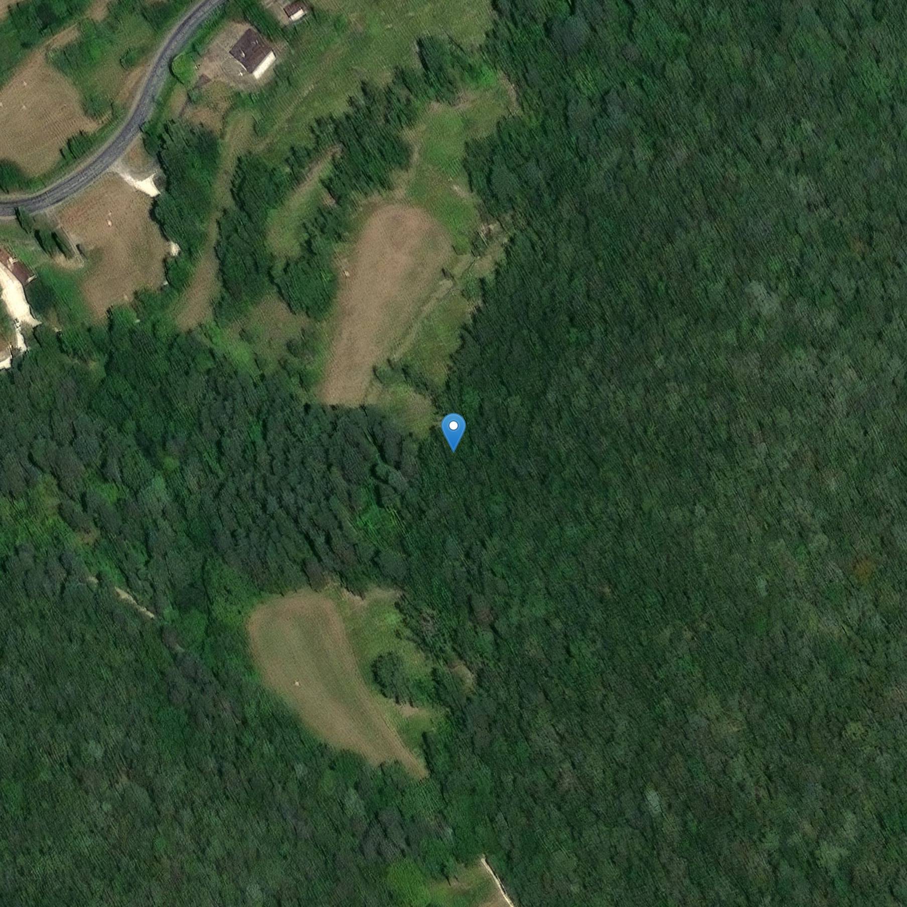 Photo de 穆扎地亚史前洞穴