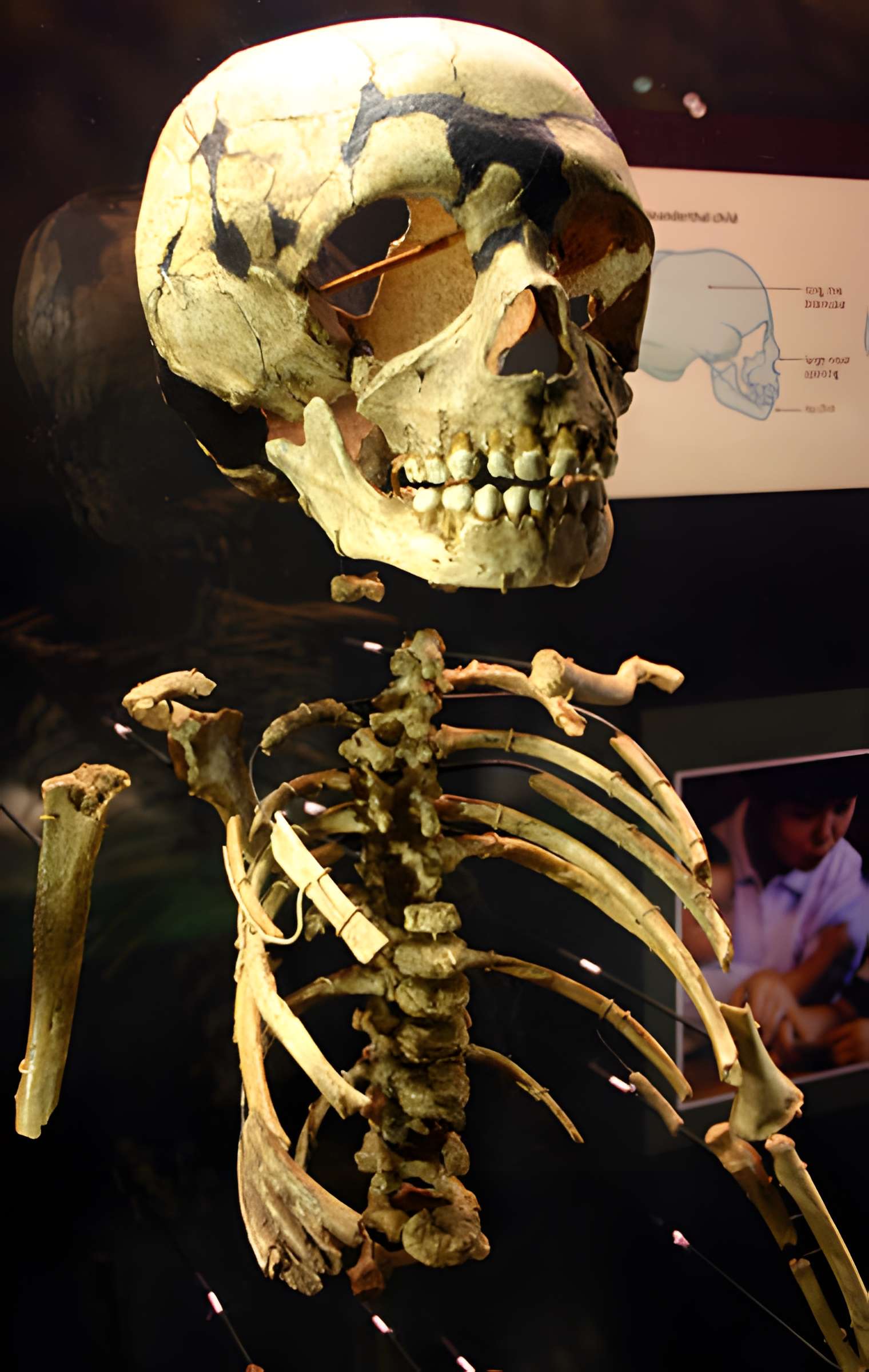 Gisement en grotte du Roc de Marsal