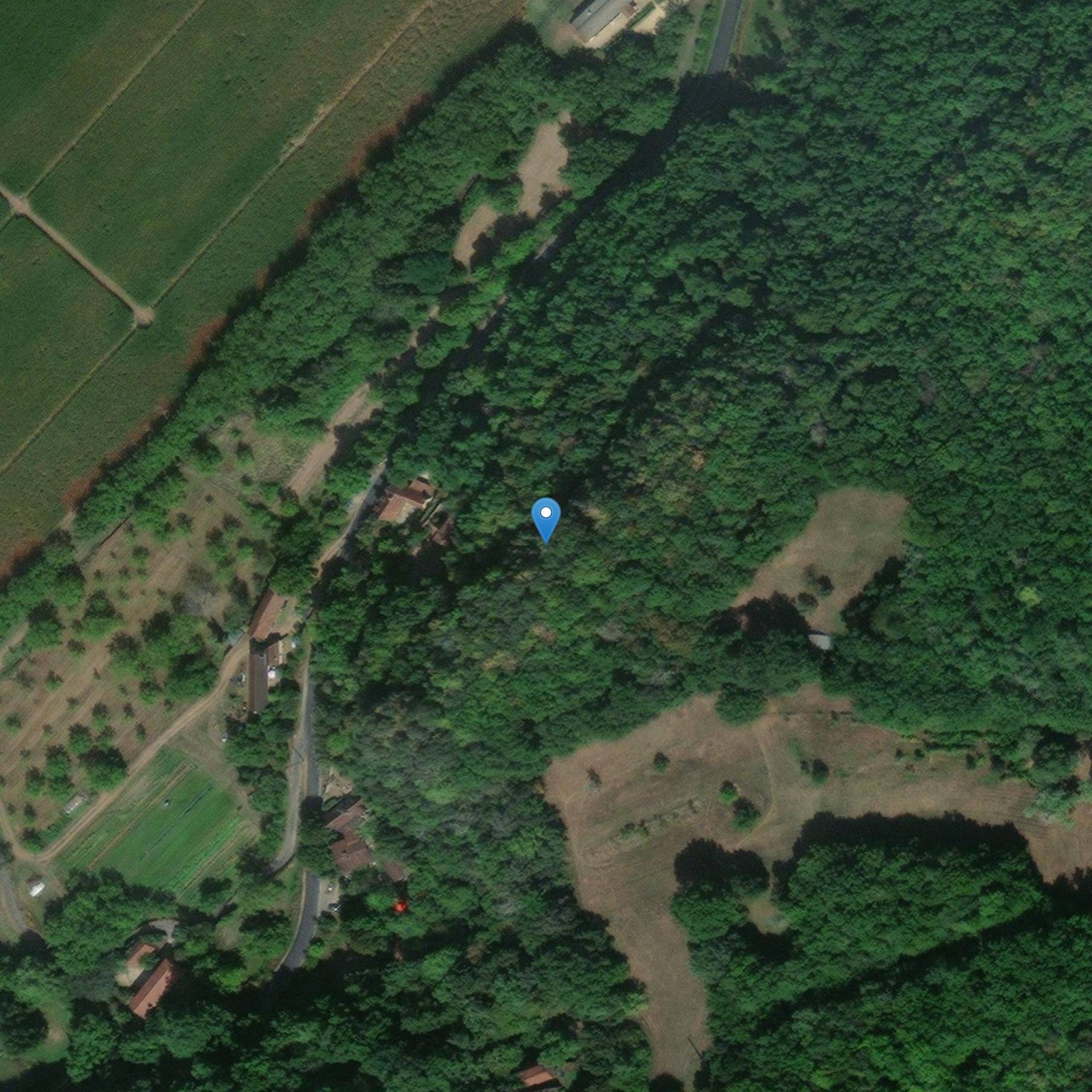 Photo de ピジョンニエで飾られた洞窟