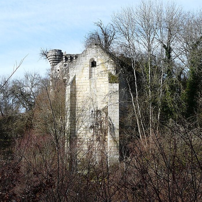 Photo de Ruines du château de Jovelle