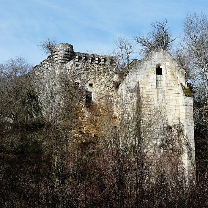 Photo de Ruines du château de Jovelle