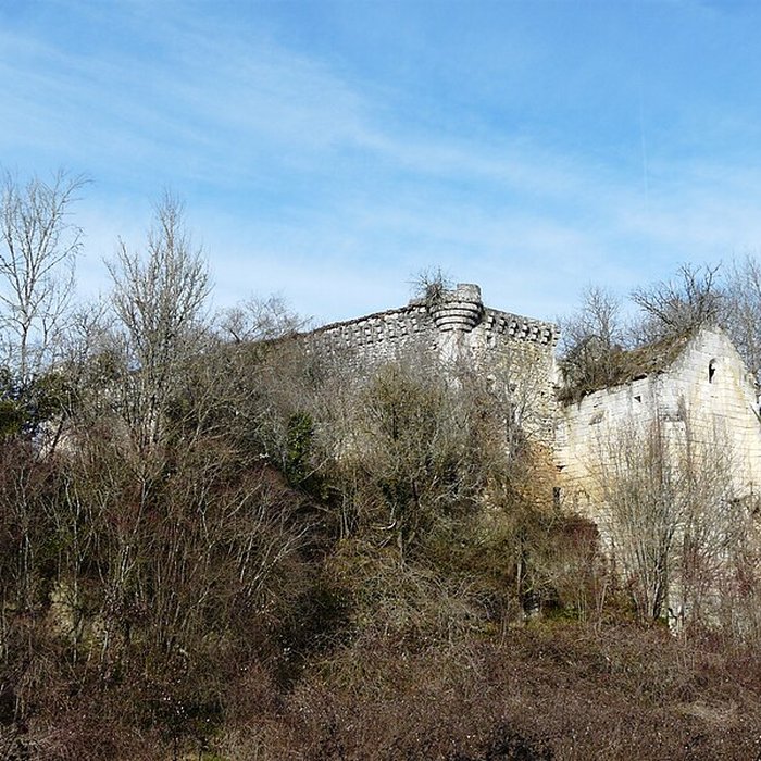 Photo de Ruines du château de Jovelle