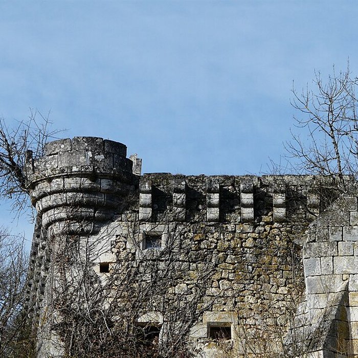 Photo de Ruines du château de Jovelle