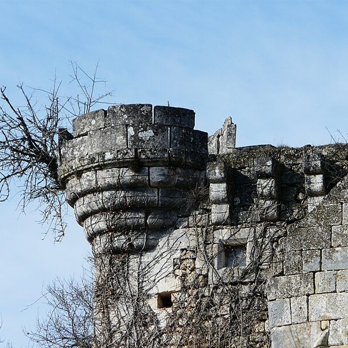 Photo de Ruines du château de Jovelle
