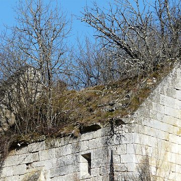 Ruines du château de Jovelle