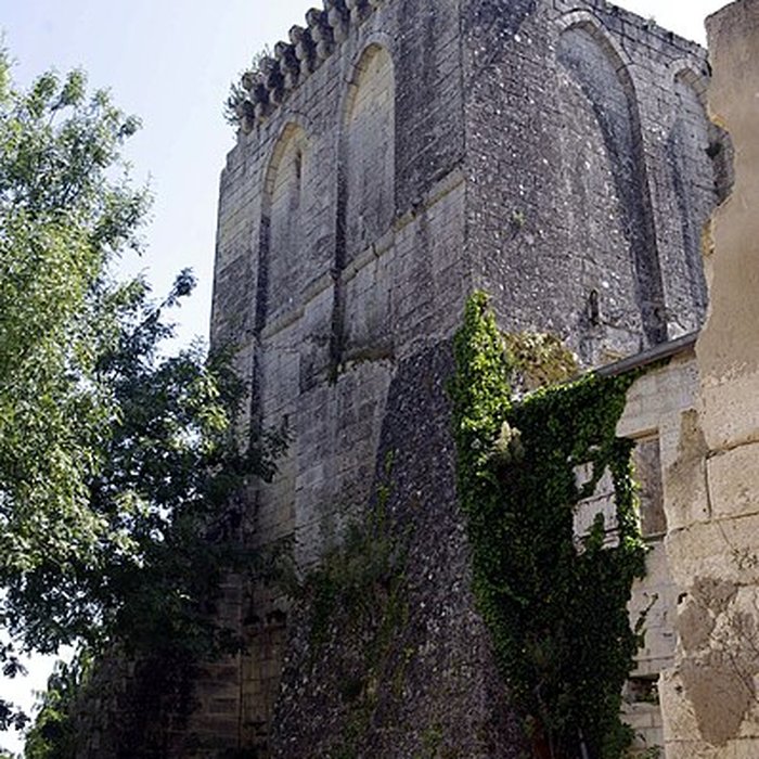 Photo de Ruines du donjon
