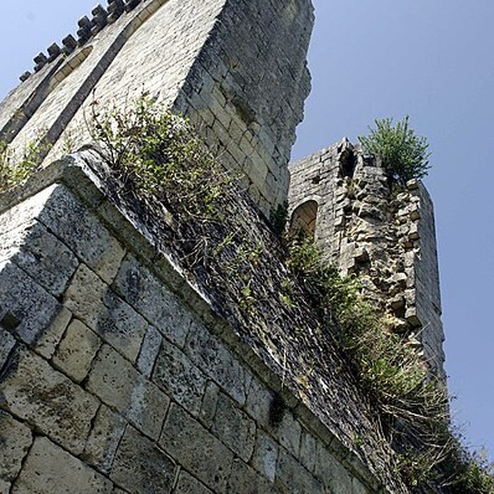 Photo de Ruines du donjon
