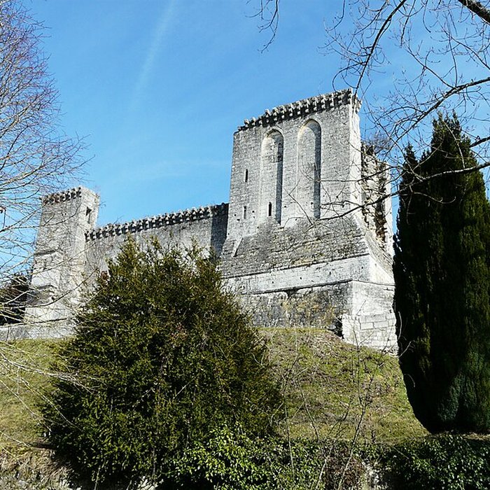 Photo de Ruines du donjon