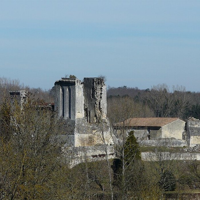 Photo de Ruines du donjon