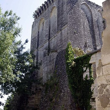 Ruines du donjon