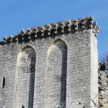 Ruines du donjon
