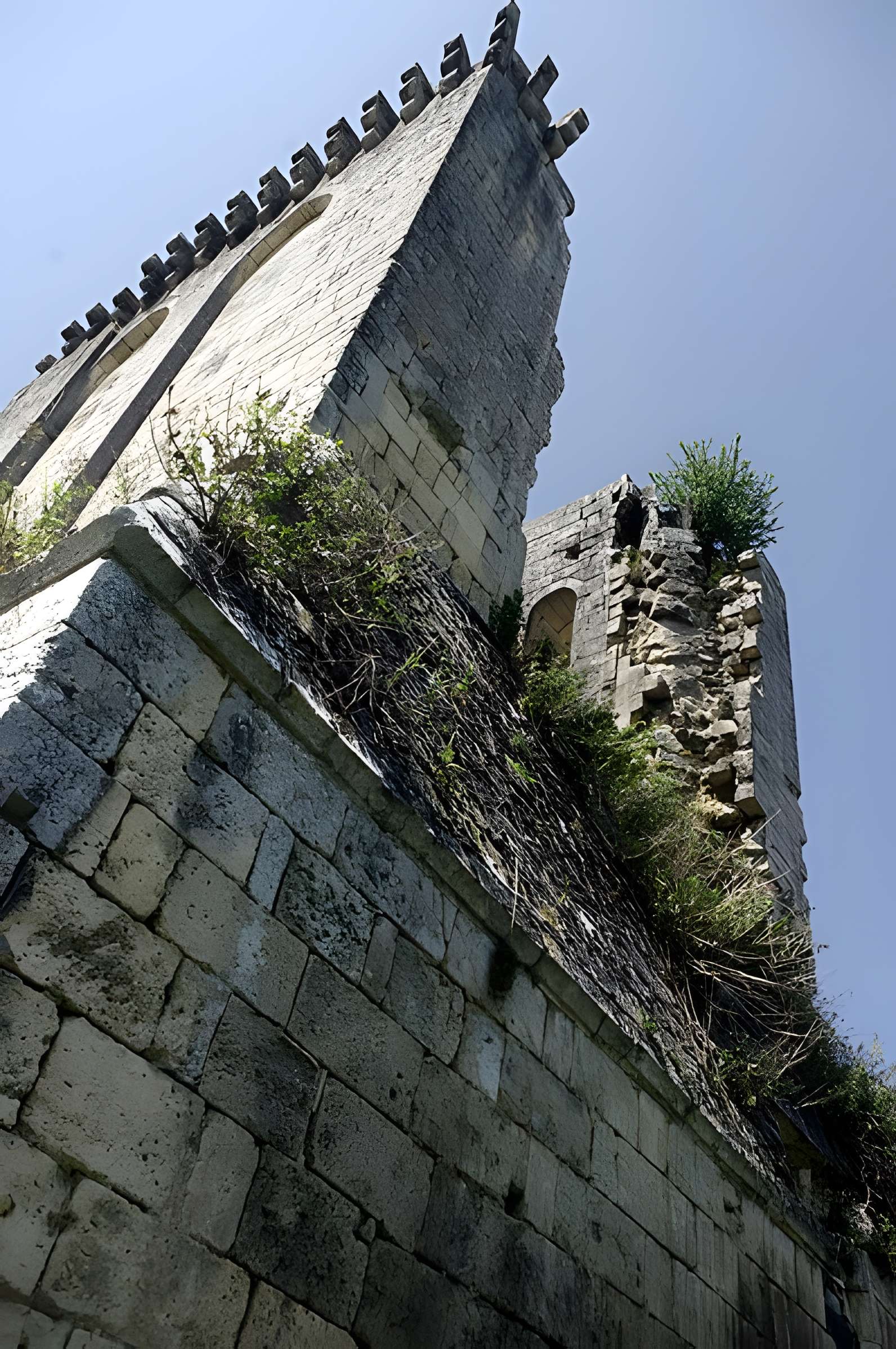 Ruines du donjon