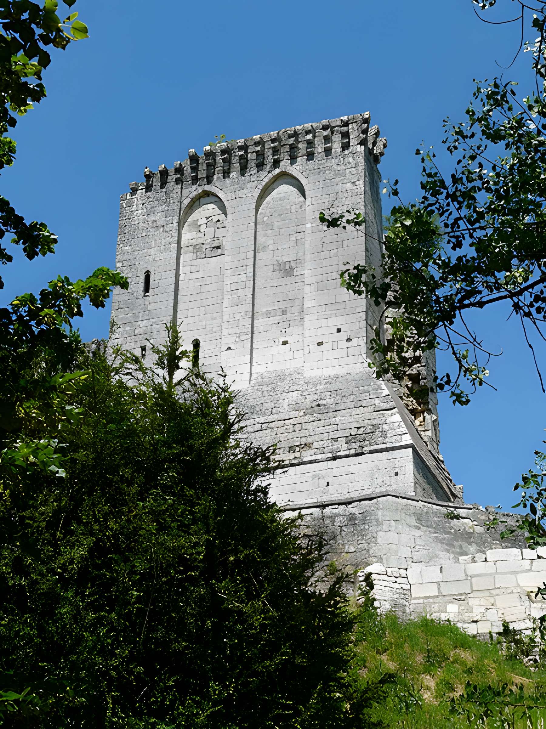 Ruines du donjon