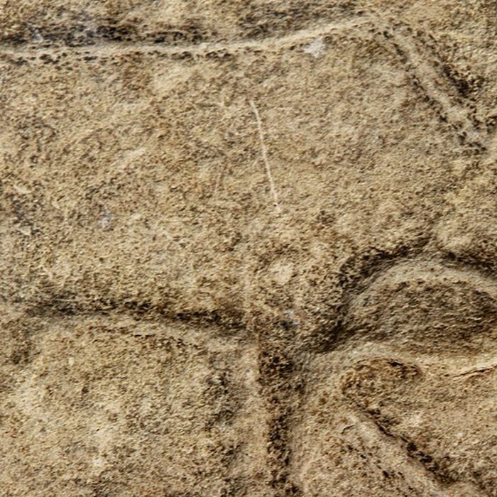 Photo de Gisement de Laugerie-Basse