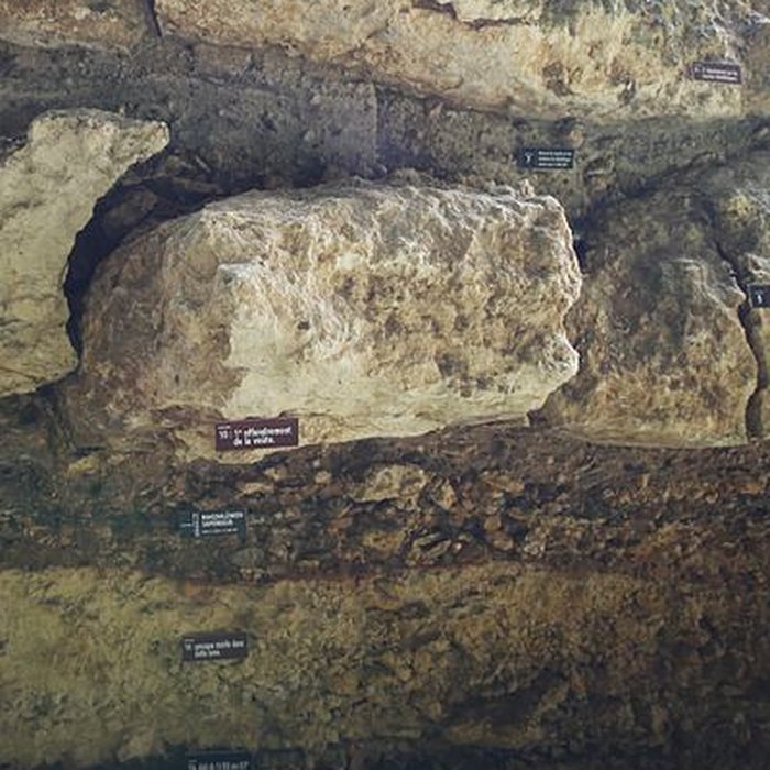 Photo de Gisement de Laugerie-Basse