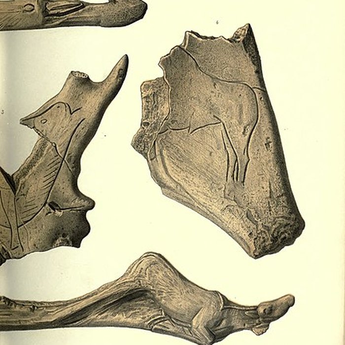 Photo de Gisement de Laugerie-Basse
