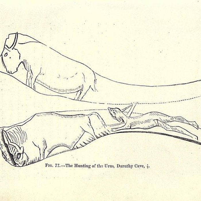 Photo de Gisement de Laugerie-Basse