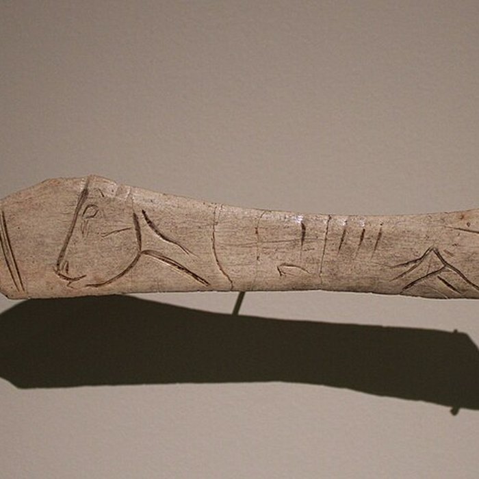 Photo de Gisement de Laugerie-Basse