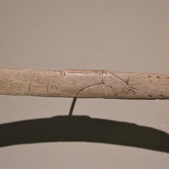 Photo de Gisement de Laugerie-Basse