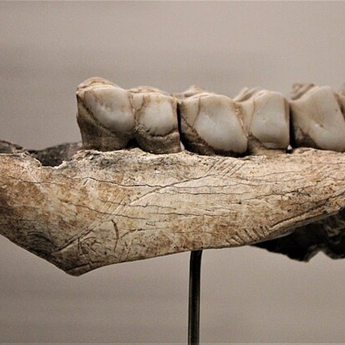 Photo de Gisement de Laugerie-Basse