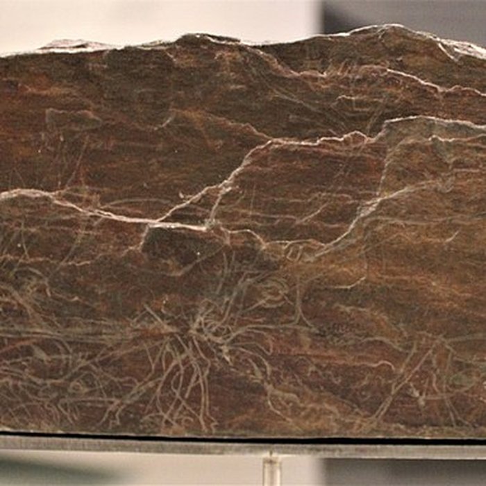 Photo de Gisement de Laugerie-Basse