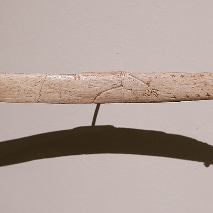 Photo de Gisement de Laugerie-Basse