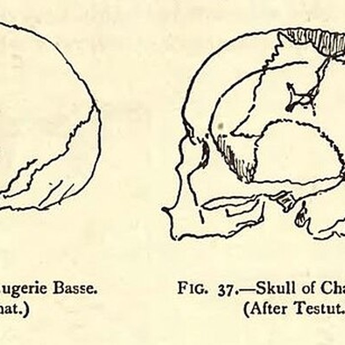 Photo de Gisement de Laugerie-Basse