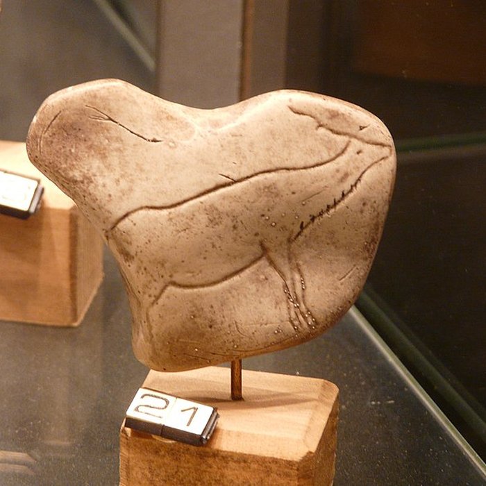 Photo de Gisement de Laugerie-Basse