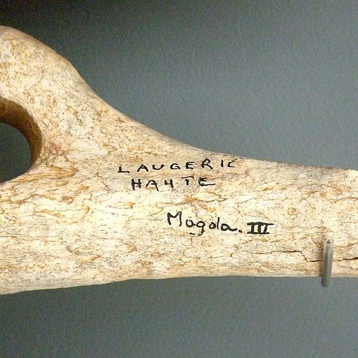 Photo de Gisement de Laugerie-Basse