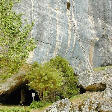 Gisement de Laugerie-Basse
