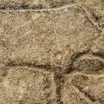 Gisement de Laugerie-Basse