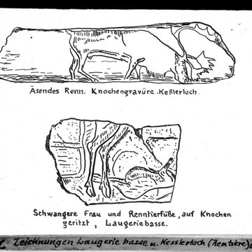 Gisement de Laugerie-Basse
