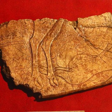 Gisement de Laugerie-Basse