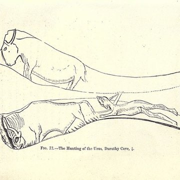 Gisement de Laugerie-Basse